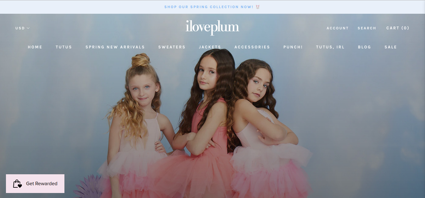 Portfolio Image
